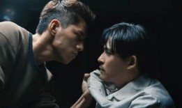 国产性虐,揭秘国产影视作品中的独特魅力与争议